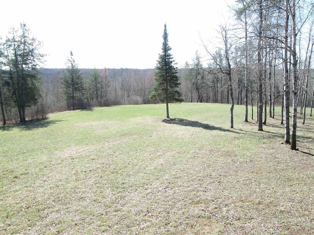 view of yard with a wooded view