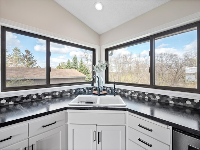 10823 Big Chip Rd NW, Brandon Twp, MN 56315 - kitchen featuring dark countertops, lofted ceiling, plenty of natural light, white cabinetry, and a textured ceiling