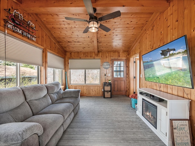 10823 Big Chip Rd NW, Brandon Twp, MN 56315 - carpeted living room with wood walls, wood ceiling, and a ceiling fan