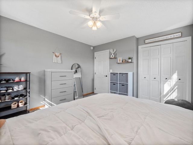 10823 Big Chip Rd NW, Brandon Twp, MN 56315 - bedroom with a closet and a ceiling fan