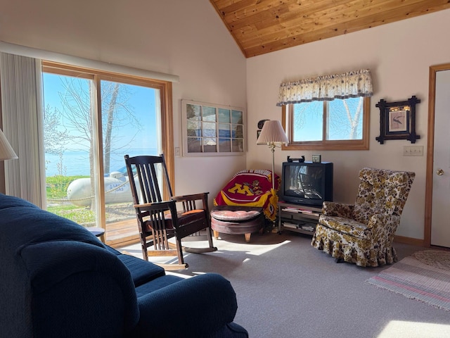5301 Oak St, Isle, MN 56342 - carpeted living room with wood ceiling and vaulted ceiling