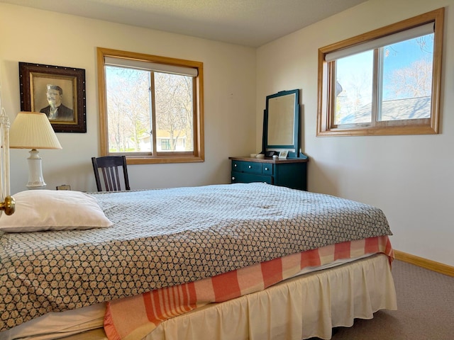 5301 Oak St, Isle, MN 56342 - carpeted bedroom featuring multiple windows