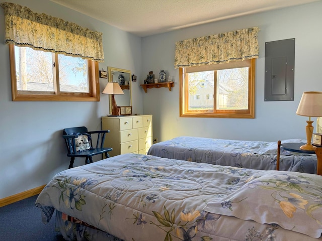5301 Oak St, Isle, MN 56342 - carpeted bedroom with electric panel and baseboards