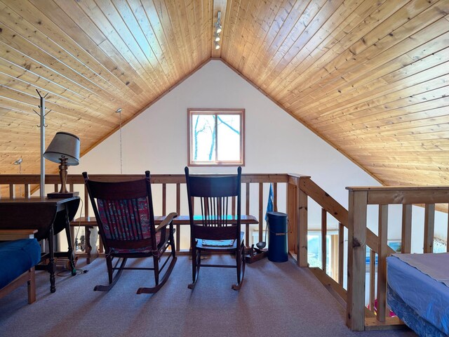 5301 Oak St, Isle, MN 56342 - office with carpet, wood ceiling, and lofted ceiling