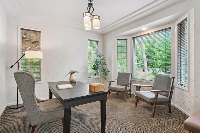 8622 French Curv, Eden Prairie, MN 55347 - carpeted office featuring a textured wall, baseboards, and a tray ceiling