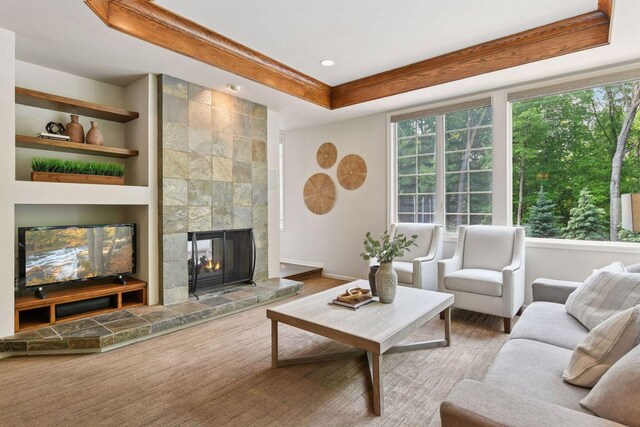 8622 French Curv, Eden Prairie, MN 55347 - living area featuring a raised ceiling, a tile fireplace, wood finished floors, and baseboards