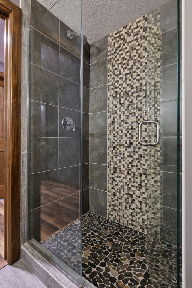 8622 French Curv, Eden Prairie, MN 55347 - bathroom featuring a stall shower and a textured ceiling