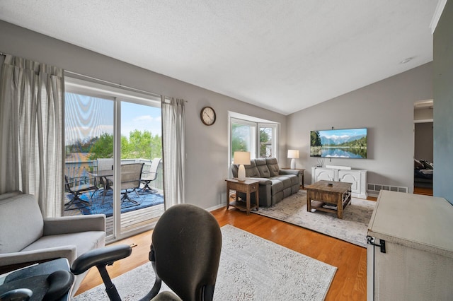 14380 Geneva Ave N, Hugo, MN 55038 - living room with vaulted ceiling, light wood-style flooring, and baseboards