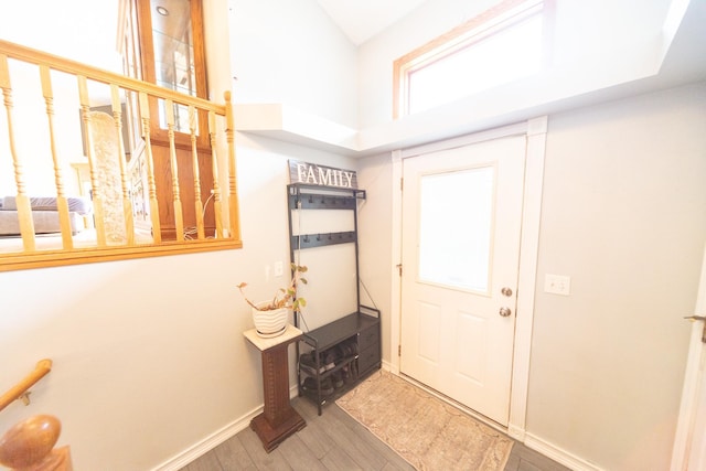 1320 18th St SE, Owatonna, MN 55060 - foyer with wood finished floors and a towering ceiling