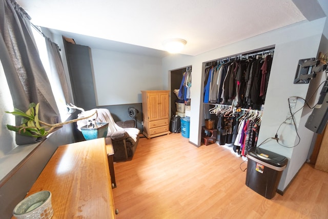 1320 18th St SE, Owatonna, MN 55060 - bedroom with light wood finished floors and a closet
