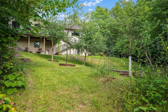 view of yard with stairs