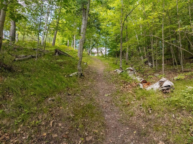 view of road with a forest view