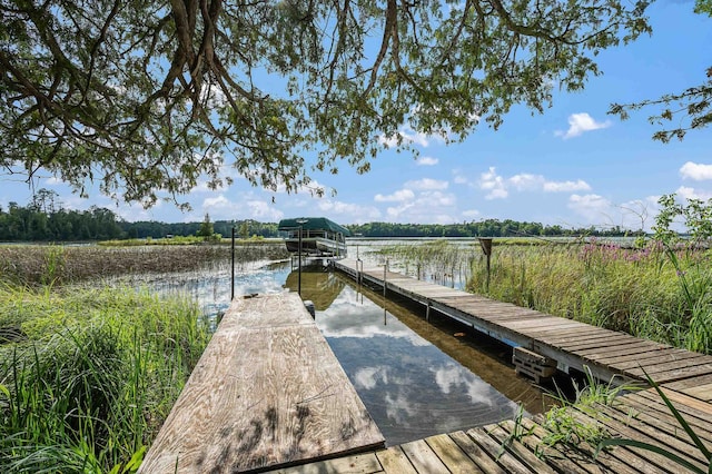 dock area with a water view