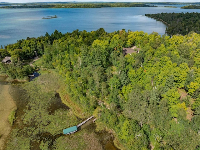 birds eye view of property featuring a water view and a view of trees