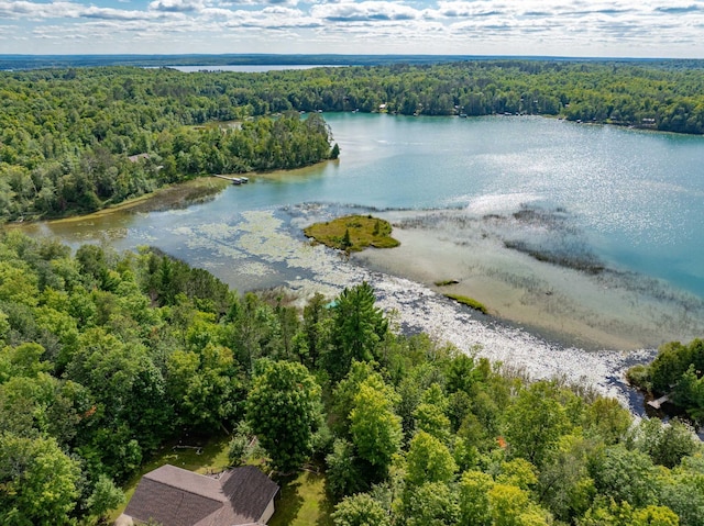 bird's eye view featuring a water view and a forest view