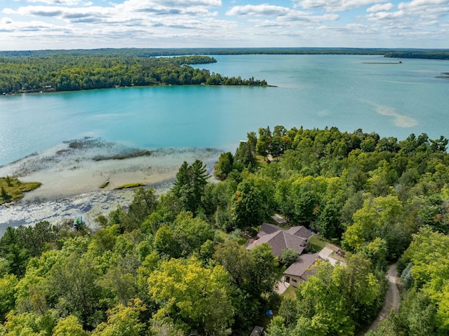 bird's eye view featuring a water view and a view of trees