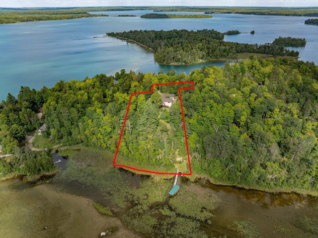 bird's eye view featuring a water view and a view of trees