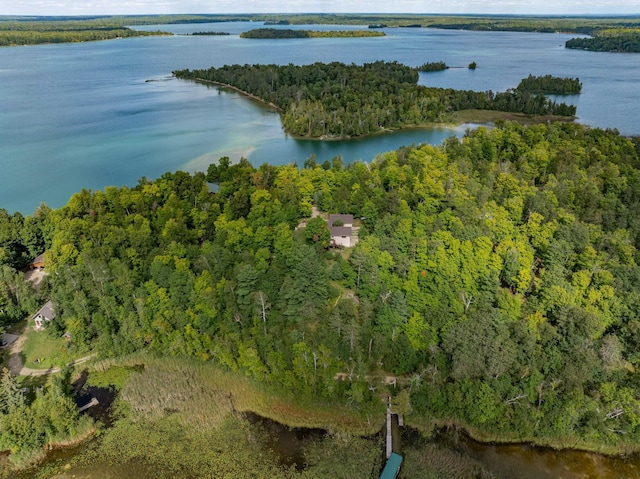 bird's eye view featuring a water view and a forest view