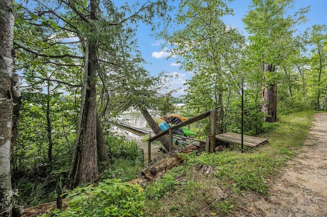 33627 Deer Lake Ln, Grand Rapids, MN 55744 - view of yard