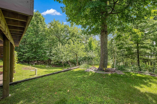 33627 Deer Lake Ln, Grand Rapids, MN 55744 - view of green lawn