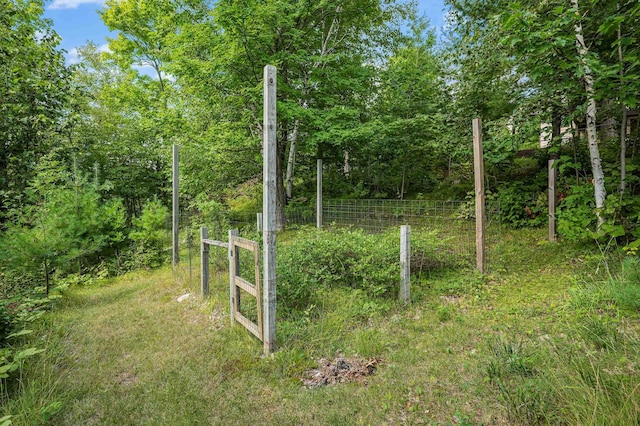 33627 Deer Lake Ln, Grand Rapids, MN 55744 - view of yard