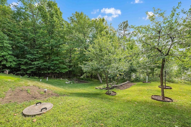 33627 Deer Lake Ln, Grand Rapids, MN 55744 - view of grassy yard