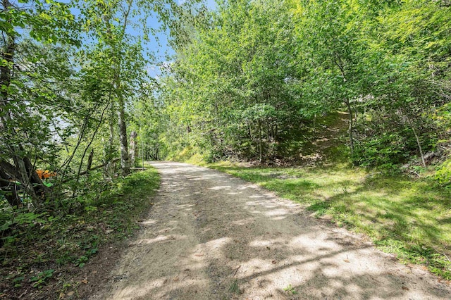 33627 Deer Lake Ln, Grand Rapids, MN 55744 - view of road featuring a wooded view