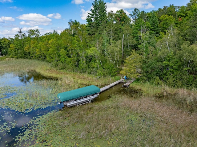 33627 Deer Lake Ln, Grand Rapids, MN 55744 - dock featuring a forest view and a water view