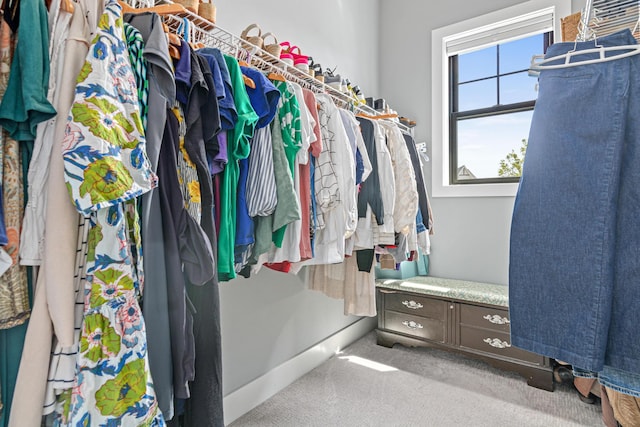 4152 Hummingbird Ct N, Lake Elmo, MN 55042 - walk in closet with carpet floors