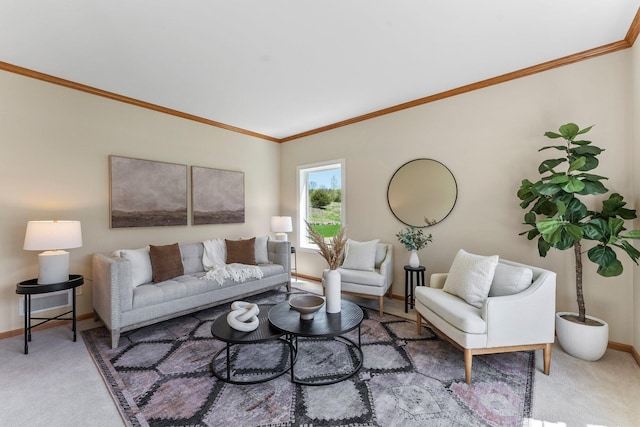 living area featuring baseboards, carpet, and ornamental molding