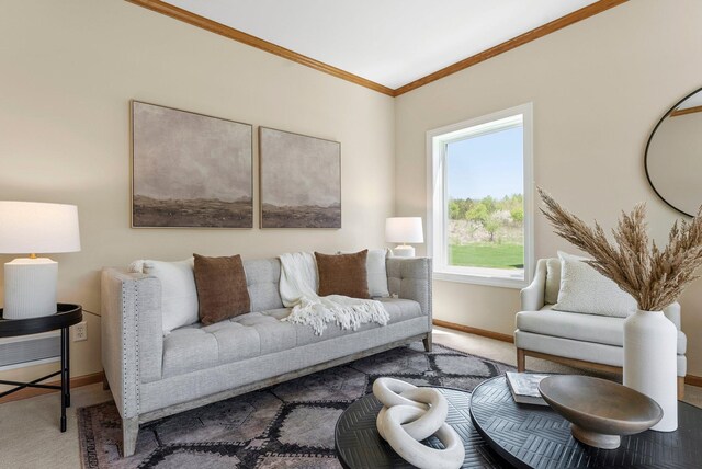 carpeted living area with baseboards and ornamental molding