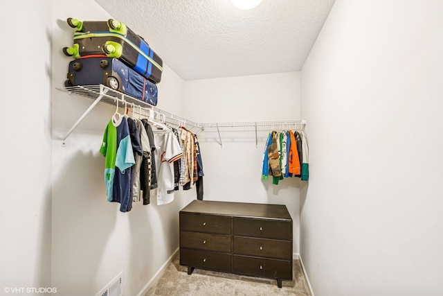 4738 Maas Ct, Minnetrista, MN 55375 - walk in closet with carpet floors