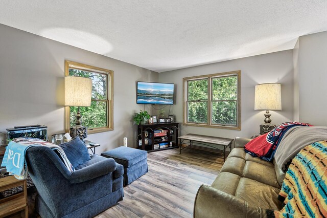 14250 Upper 54th St N, Oak Park Heights, MN 55082 - living room with plenty of natural light, wood finished floors, and a textured ceiling