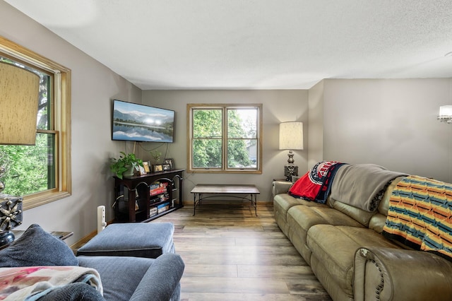 14250 Upper 54th St N, Oak Park Heights, MN 55082 - living room featuring wood finished floors and baseboards