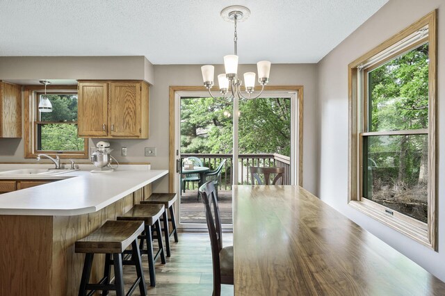 14250 Upper 54th St N, Oak Park Heights, MN 55082 - dining space featuring a chandelier, wood finished floors, plenty of natural light, and a textured ceiling