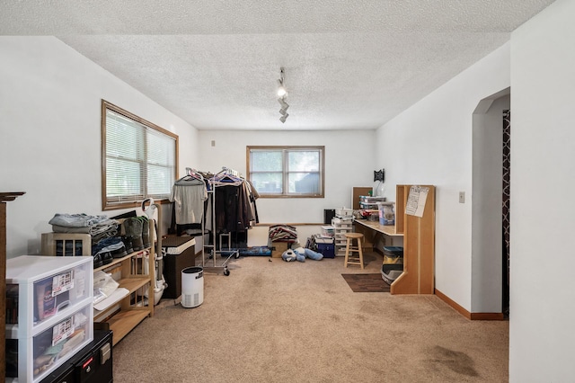 14250 Upper 54th St N, Oak Park Heights, MN 55082 - office space featuring carpet, a textured ceiling, arched walkways, track lighting, and baseboards