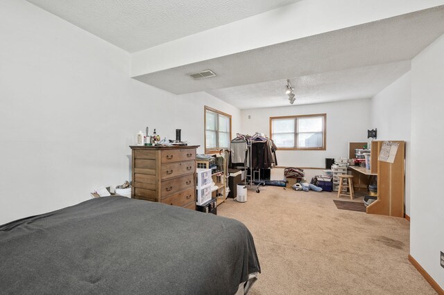 14250 Upper 54th St N, Oak Park Heights, MN 55082 - bedroom featuring carpet and a textured ceiling