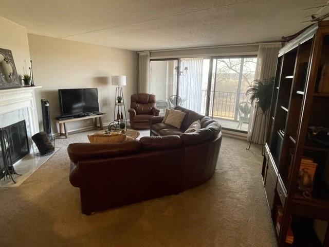 living area with a fireplace with flush hearth and carpet floors