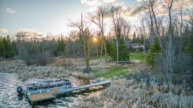 exterior space featuring a boat dock, a water view, and a view of trees