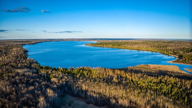 bird's eye view featuring a water view and a view of trees