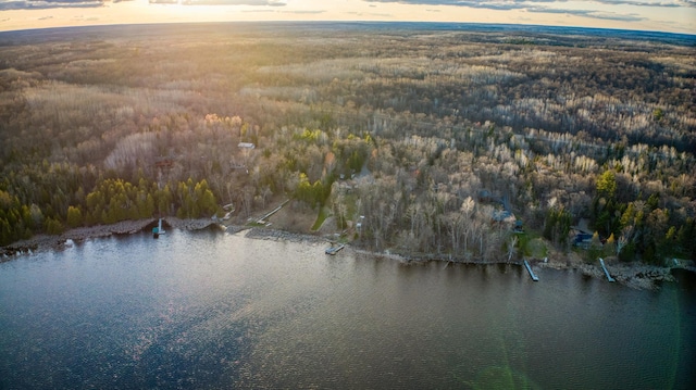 birds eye view of property with a wooded view and a water view