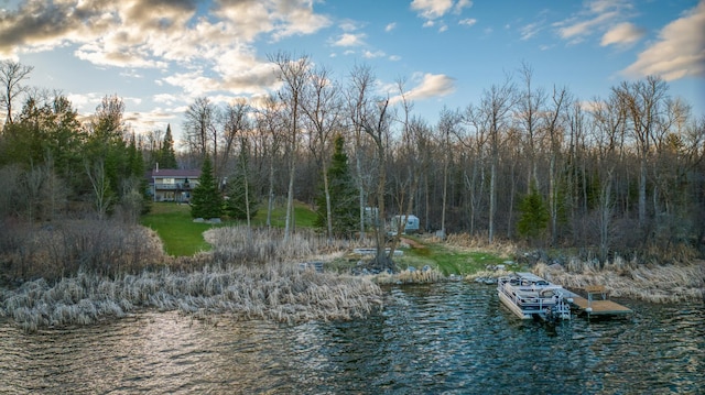 water view featuring a boat dock and a view of trees
