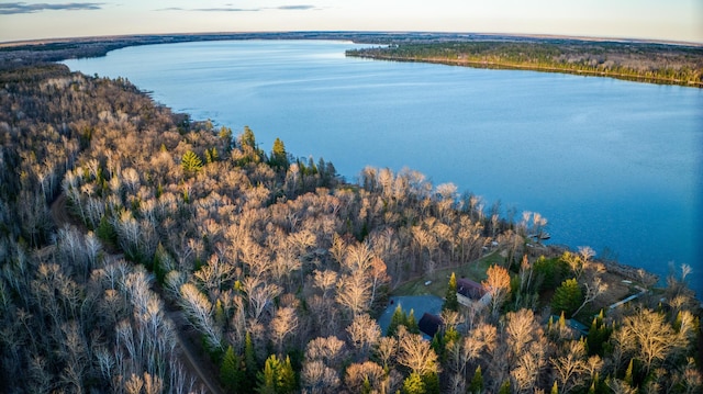 drone / aerial view with a water view and a view of trees