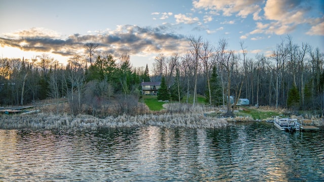 property view of water