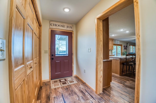 entrance foyer featuring dark wood-type flooring and baseboards