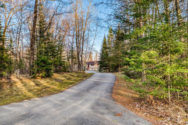 view of road featuring aphalt driveway