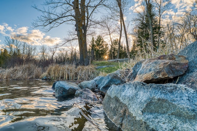 view of nature