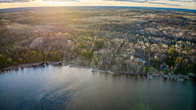 32061 Primrose Ln, Walker, MN 56461 - aerial overview of property's location featuring a forest and a large body of water