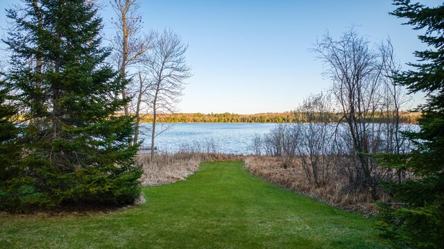 32061 Primrose Ln, Walker, MN 56461 - water view
