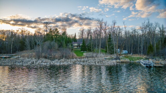 32061 Primrose Ln, Walker, MN 56461 - water view